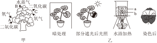 菁優(yōu)網(wǎng)