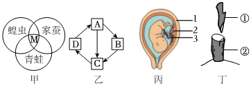 菁優(yōu)網(wǎng)