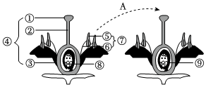 菁優(yōu)網(wǎng)