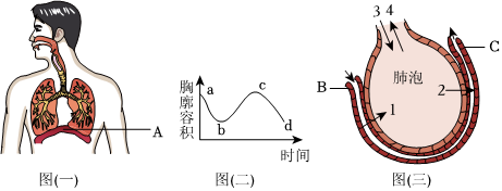 菁優(yōu)網