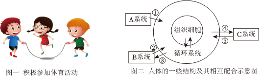 菁優(yōu)網