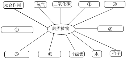 菁優(yōu)網