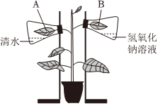 菁優(yōu)網(wǎng)