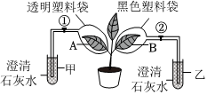 菁優(yōu)網