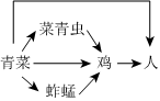 菁優(yōu)網(wǎng)