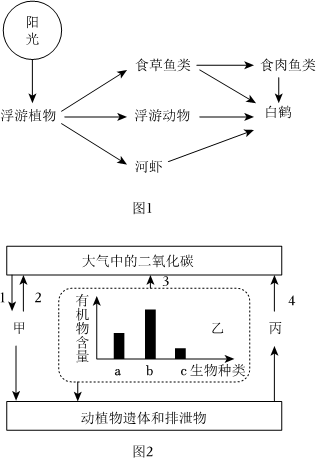 菁優(yōu)網