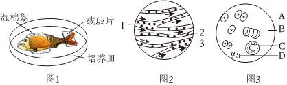 菁優(yōu)網