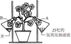 菁優(yōu)網(wǎng)