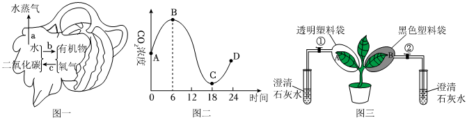 菁優(yōu)網(wǎng)