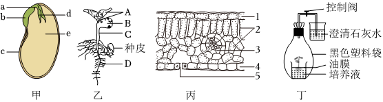 菁優(yōu)網