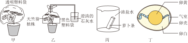 菁優(yōu)網