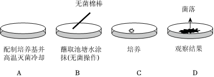 菁優(yōu)網