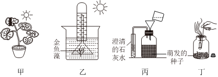 菁優(yōu)網(wǎng)