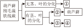 菁優(yōu)網(wǎng)