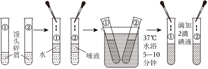 菁優(yōu)網