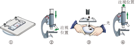 菁優(yōu)網