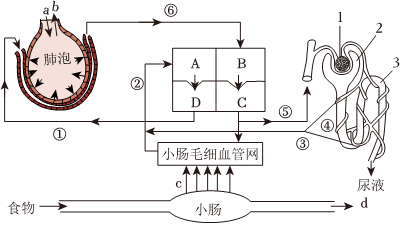 菁優(yōu)網(wǎng)