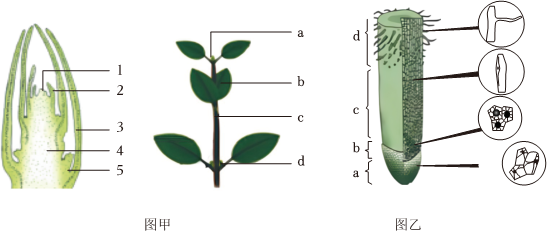 菁優(yōu)網