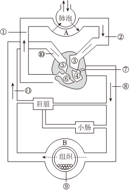 菁優(yōu)網(wǎng)