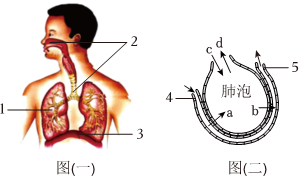 菁優(yōu)網