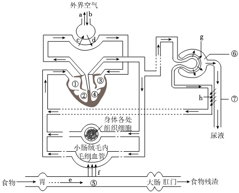 菁優(yōu)網(wǎng)