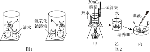 菁優(yōu)網(wǎng)