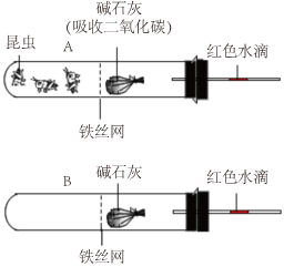 菁優(yōu)網(wǎng)