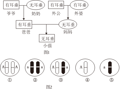 菁優(yōu)網