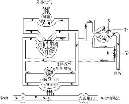 菁優(yōu)網(wǎng)