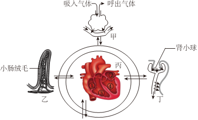 菁優(yōu)網(wǎng)