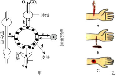 菁優(yōu)網(wǎng)