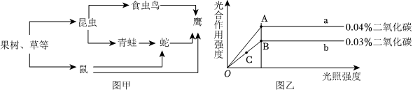 菁優(yōu)網(wǎng)