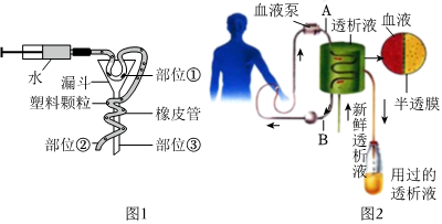 菁優(yōu)網(wǎng)