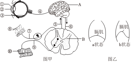 菁優(yōu)網(wǎng)