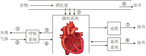 菁優(yōu)網(wǎng)