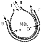 菁優(yōu)網(wǎng)