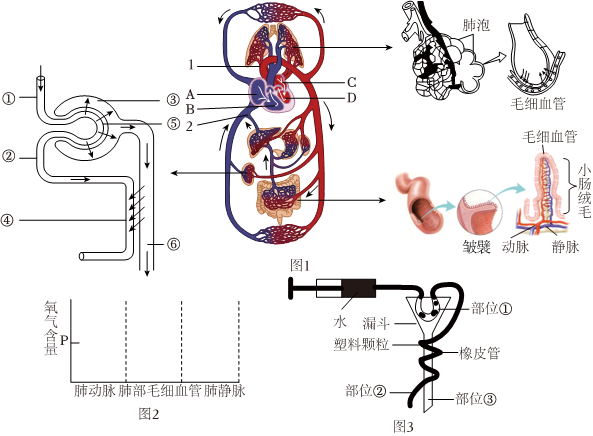 菁優(yōu)網