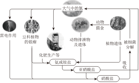 菁優(yōu)網(wǎng)