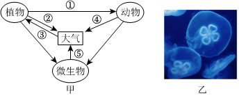 菁優(yōu)網