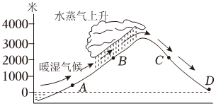 菁優(yōu)網