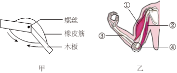 菁優(yōu)網