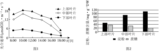 菁優(yōu)網