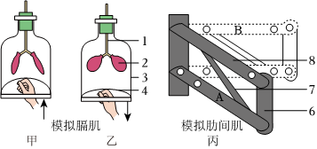 菁優(yōu)網(wǎng)