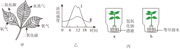 菁優(yōu)網(wǎng)