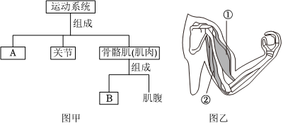 菁優(yōu)網