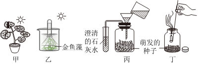 菁優(yōu)網(wǎng)