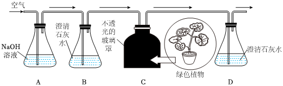 菁優(yōu)網(wǎng)