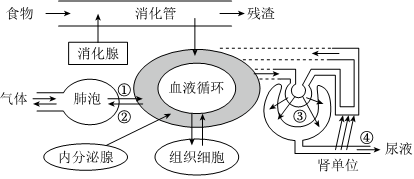 菁優(yōu)網(wǎng)