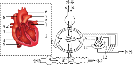 菁優(yōu)網(wǎng)