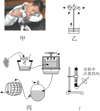 菁優(yōu)網